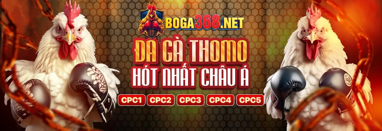 Hình ảnh chính về chơi có trách nhiệm tại qh87